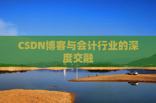 CSDN博客与会计行业的深度交融